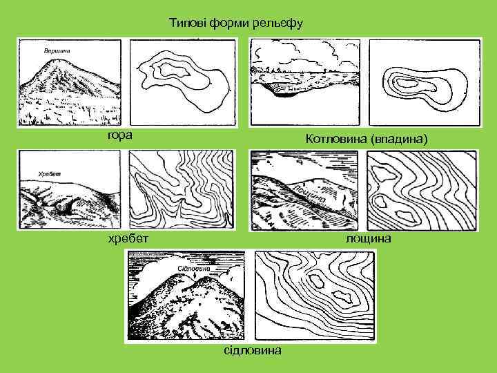 Типові форми рельєфу гора Котловина (впадина) хребет лощина сідловина 