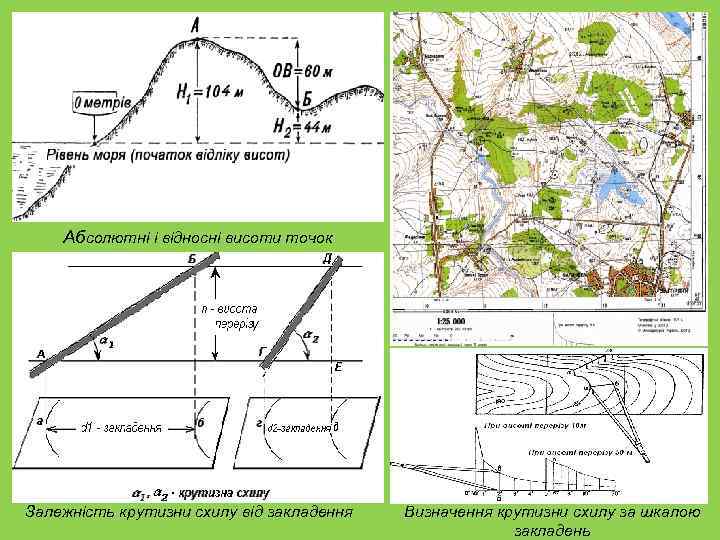 Абсолютні і відносні висоти точок Залежність крутизни схилу від закладення Визначення крутизни схилу за
