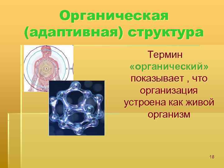 Органическая (адаптивная) структура Термин «органический» показывает , что организация устроена как живой организм 18