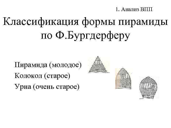 1. Анализ ВПП Классификация формы пирамиды по Ф. Бургдерферу Пирамида (молодое) Колокол (старое) Урна