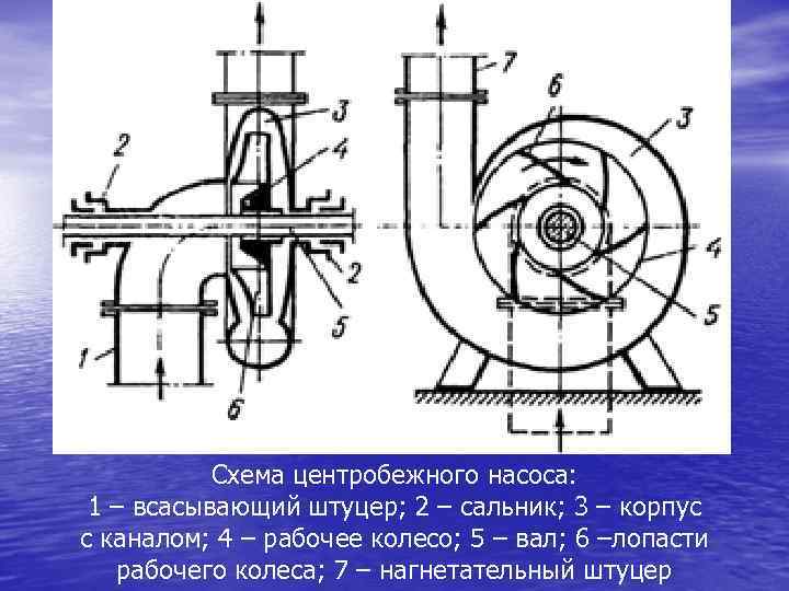 Схема центробежного насоса: 1 – всасывающий штуцер; 2 – сальник; 3 – корпус с