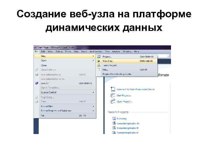Создание веб-узла на платформе динамических данных 