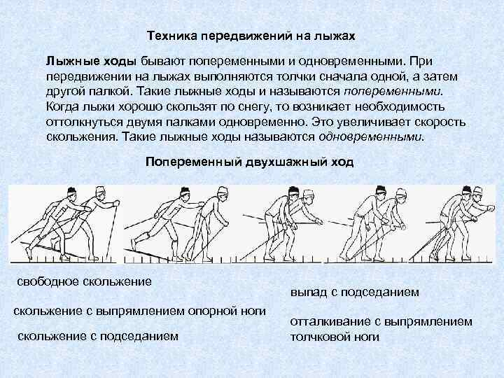 Техника передвижений на лыжах Лыжные ходы бывают попеременными и одновременными. При передвижении на лыжах