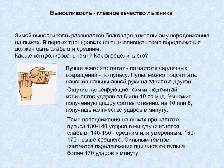Выносливость - главное качество лыжника Зимой выносливость развивается благодаря длительному передвижению на лыжах. В