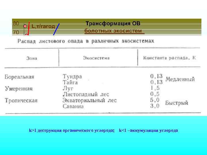 k>1 деструкция органического углерода; k<1 –аккумуляция углерода 
