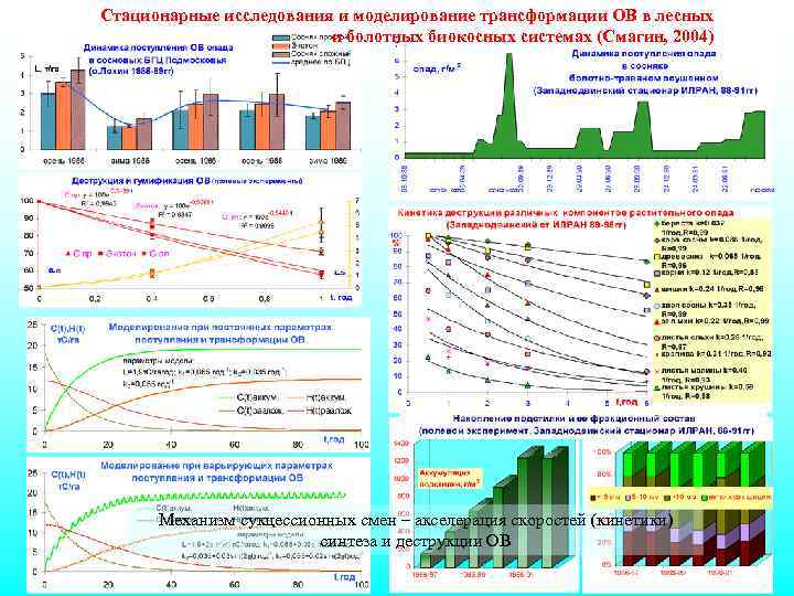 Стационарные исследования и моделирование трансформации ОВ в лесных и болотных биокосных системах (Смагин, 2004)