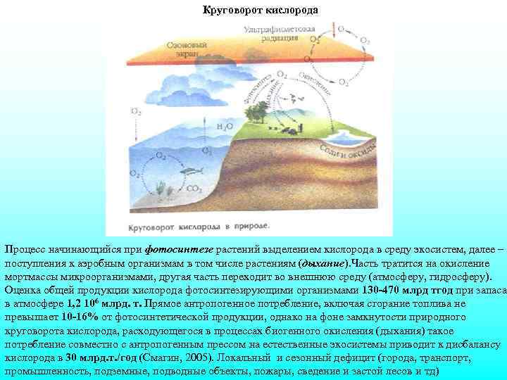 Процесс кислорода. Фотосинтез круговорот кислорода. Расходование атмосферного кислорода. Поступление кислорода в атмосферу. Круговорот фотосинтеза.
