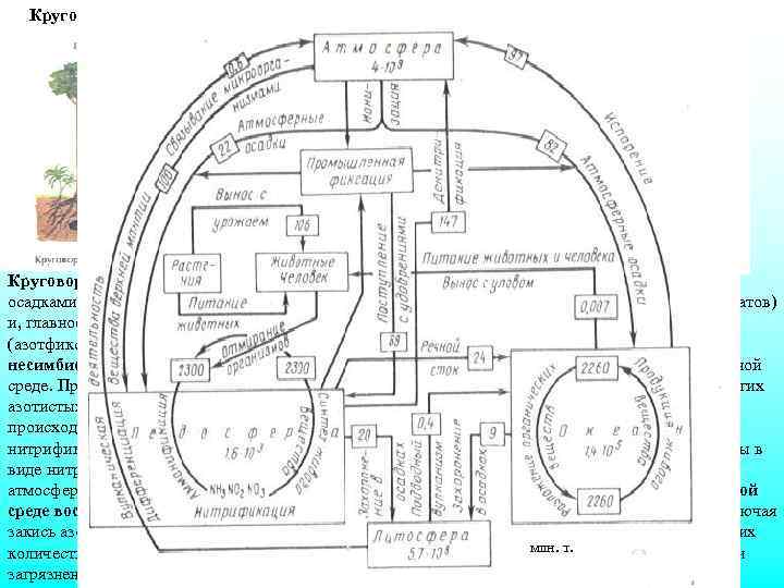 Круговорот биофильных элементов (азот) Круговорот азота. Процесс начинающийся с поступления в экосистему азотистых соединений