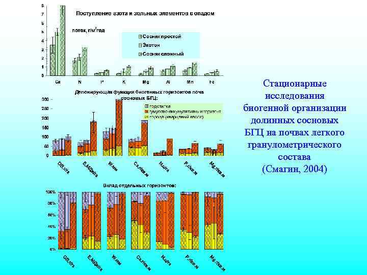 Стационарные исследования биогенной организации долинных сосновых БГЦ на почвах легкого гранулометрического состава (Смагин, 2004)