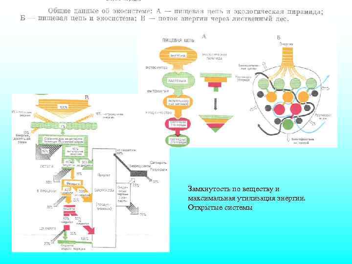 Замкнутость по веществу и максимальная утилизация энергии. Открытые системы 