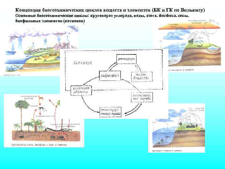 Составьте схемы биогеохимических циклов воды и кислорода