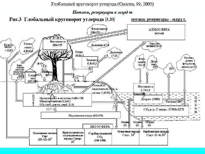 Биогеохимический цикл углерода схема кратко