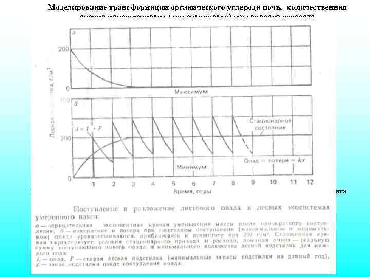 Моделирование трансформации органического углерода почв, количественная оценка напряженности ( интенсивности) круговорота углерода Подстилочно-опадный коэффициент