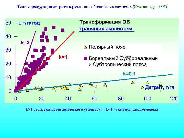 Темпы деструкции детрита в различных биокосных системах (Смагин и др. 2001) k>1 деструкция органического