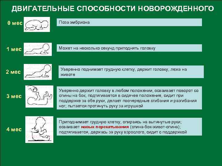 ДВИГАТЕЛЬНЫЕ СПОСОБНОСТИ НОВОРОЖДЕННОГО 0 мес Поза эмбриона 1 мес Может на несколько секунд приподнять