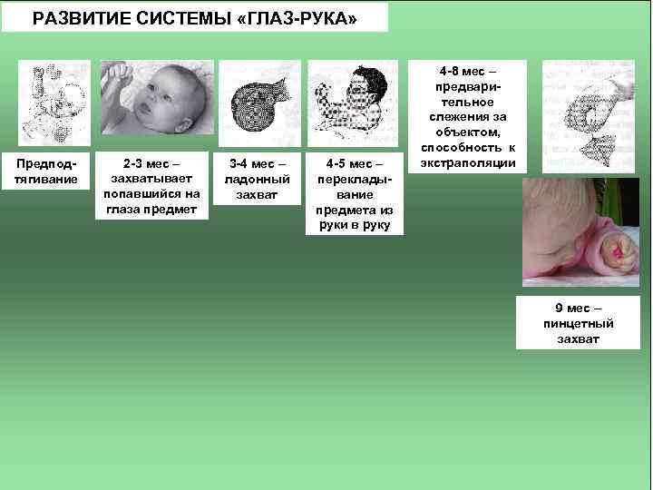РАЗВИТИЕ СИСТЕМЫ «ГЛАЗ-РУКА» Предподтягивание 2 -3 мес – захватывает попавшийся на глаза предмет 3