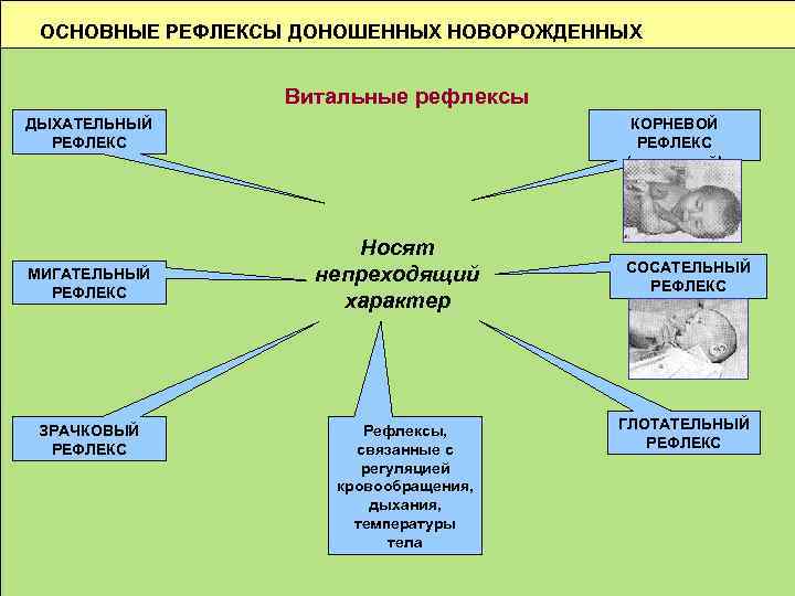ОСНОВНЫЕ РЕФЛЕКСЫ ДОНОШЕННЫХ НОВОРОЖДЕННЫХ Витальные рефлексы ДЫХАТЕЛЬНЫЙ РЕФЛЕКС МИГАТЕЛЬНЫЙ РЕФЛЕКС ЗРАЧКОВЫЙ РЕФЛЕКС КОРНЕВОЙ РЕФЛЕКС