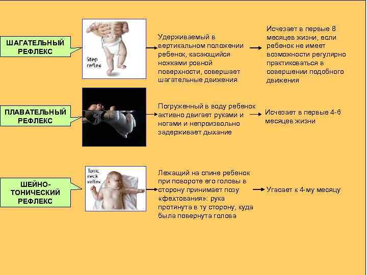 ШАГАТЕЛЬНЫЙ РЕФЛЕКС Удерживаемый в вертикальном положении ребенок, касающийся ножками ровной поверхности, совершает шагательные движения