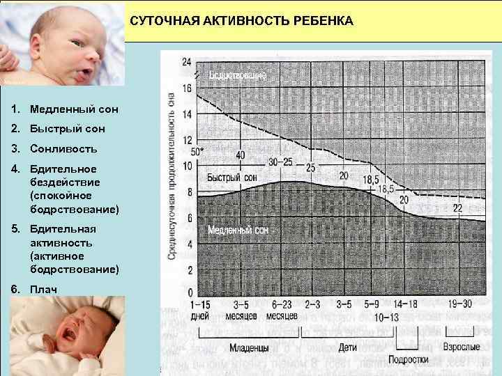 СУТОЧНАЯ АКТИВНОСТЬ РЕБЕНКА 1. Медленный сон 2. Быстрый сон 3. Сонливость 4. Бдительное бездействие