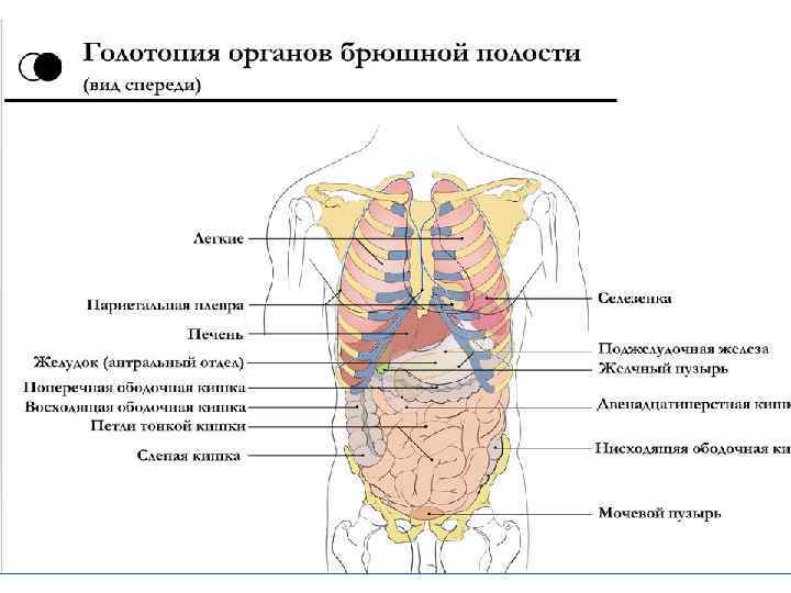 Лапаротомия шов фото