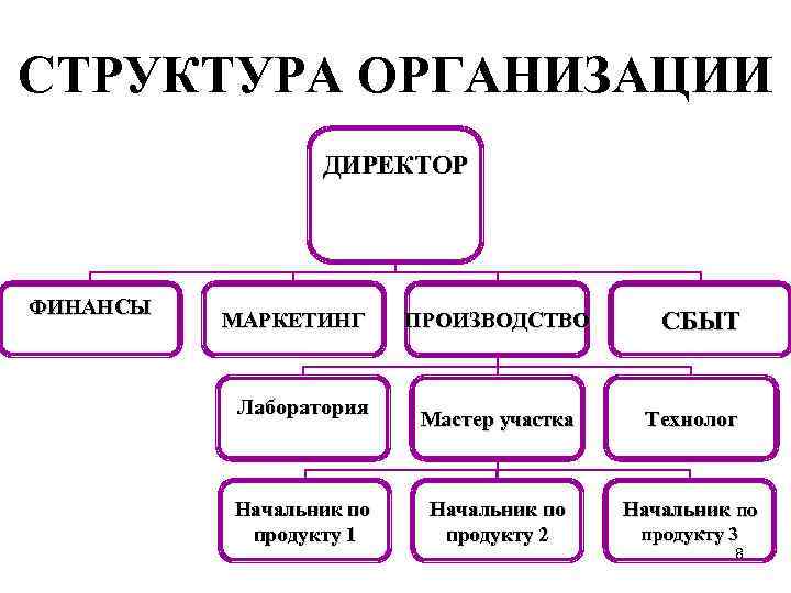 СТРУКТУРА ОРГАНИЗАЦИИ ДИРЕКТОР ФИНАНСЫ МАРКЕТИНГ ПРОИЗВОДСТВО СБЫТ Лаборатория Мастер участка Технолог Начальник по продукту