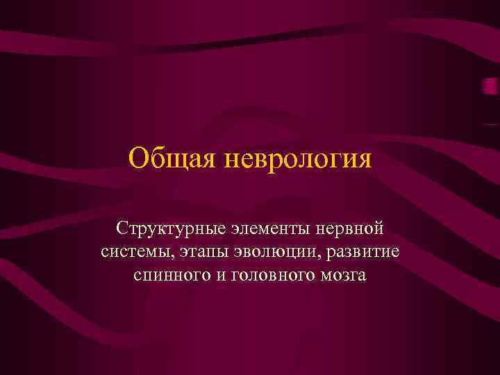 Общая неврология Структурные элементы нервной системы, этапы эволюции, развитие спинного и головного мозга 