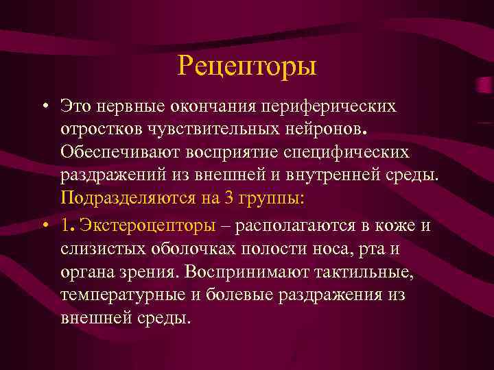 Рецепторы • Это нервные окончания периферических отростков чувствительных нейронов. Обеспечивают восприятие специфических раздражений из