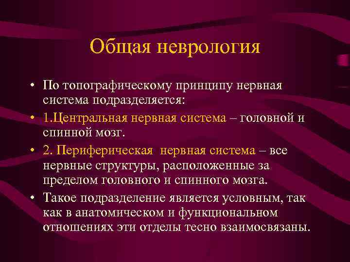 Общая неврология • По топографическому принципу нервная система подразделяется: • 1. Центральная нервная система