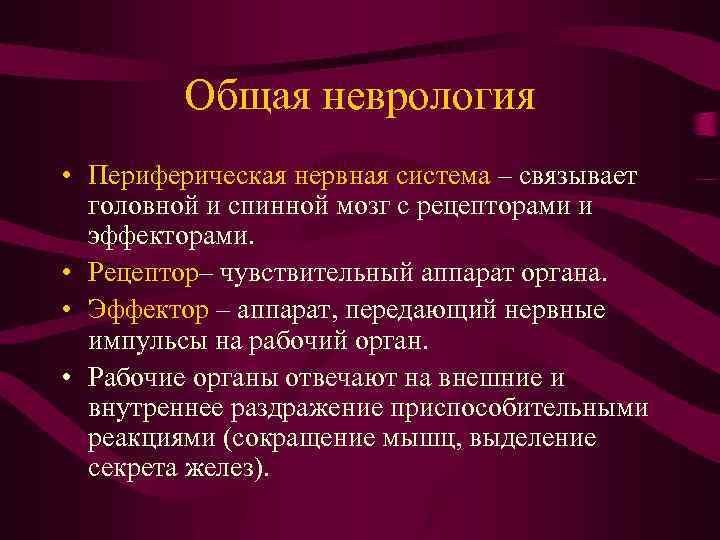 Общая неврология • Периферическая нервная система – связывает головной и спинной мозг с рецепторами