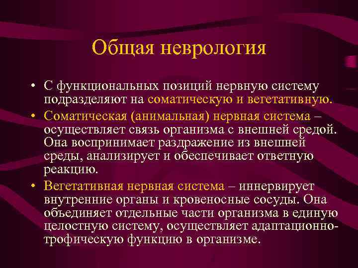 Общая неврология • С функциональных позиций нервную систему подразделяют на соматическую и вегетативную. •