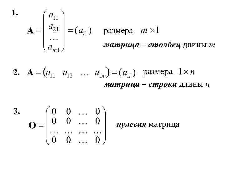 1. размера матрица – столбец длины m 2. размера матрица – строка длины n