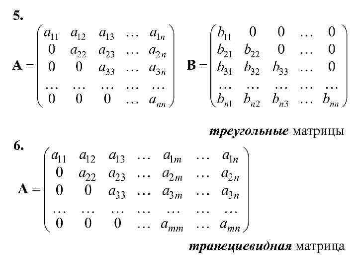 5. 6. треугольные матрицы трапециевидная матрица 