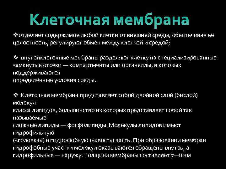 Клеточная мембрана vотделяет содержимое любой клетки от внешней среды, обеспечивая её целостность; регулируют обмен