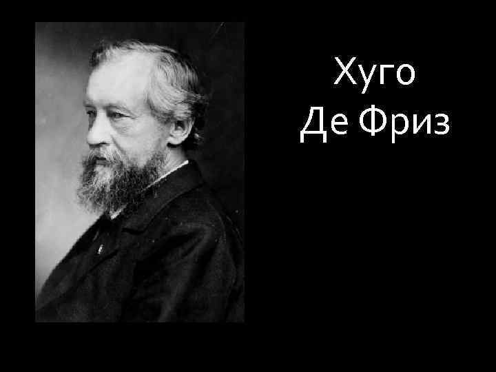 Хуго Де Фриз 
