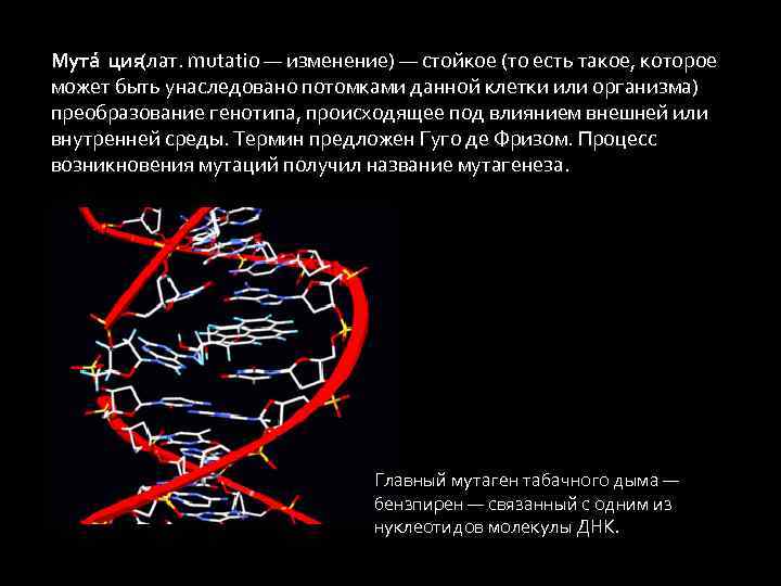 Мута ция(лат. mutatio — изменение) — стойкое (то есть такое, которое может быть унаследовано