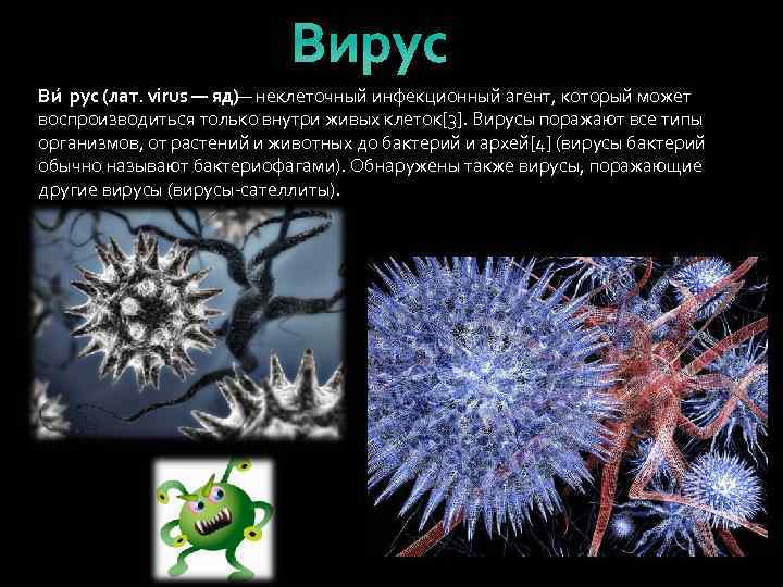 Жизнь без вирусов. Генетика вирусов. Бактерии это неклеточная форма жизни. Вирусы неклеточные формы жизни. Вирусы грибы животные.