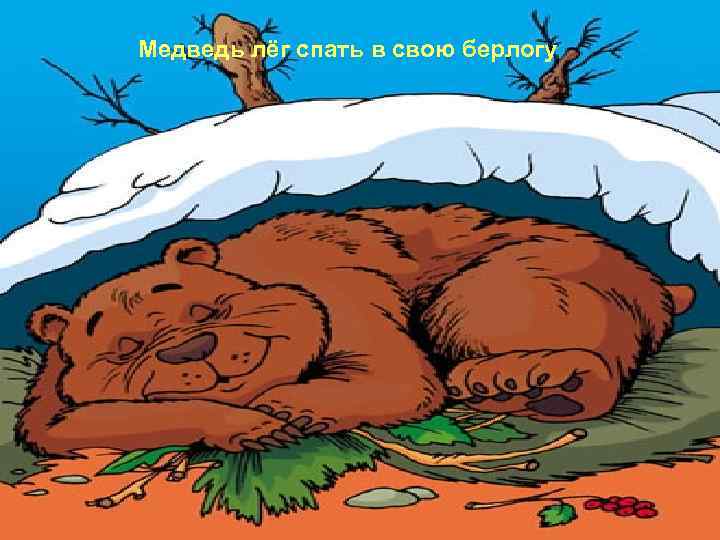 Медведь лёг спать в свою берлогу 