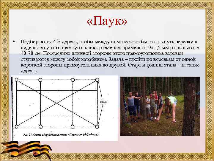       «Паук»  •  Подбираются 4 -8 дерева,
