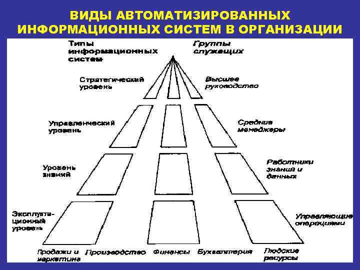 ВИДЫ АВТОМАТИЗИРОВАННЫХ ИНФОРМАЦИОННЫХ СИСТЕМ В ОРГАНИЗАЦИИ 