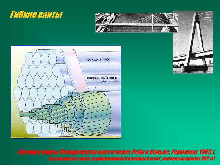 Гибкие ванты Сечение ванты Северинского моста через Рейн в Кельне, Германия, 1959 г. (это