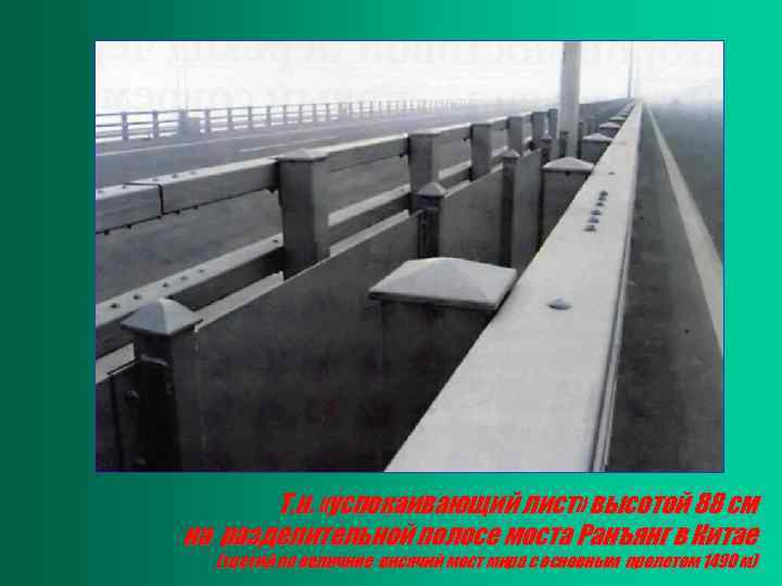 Т. н. «успокаивающий лист» высотой 88 см на разделительной полосе моста Ранъянг в Китае