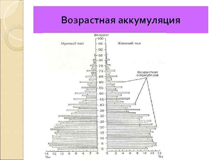 Возраст демография. Возрастная аккумуляция. Возрастная аккумуляция в демографии. Возрастная аккумуляция формула. Возрастная аккумуляция возможна в возрастной структуре.