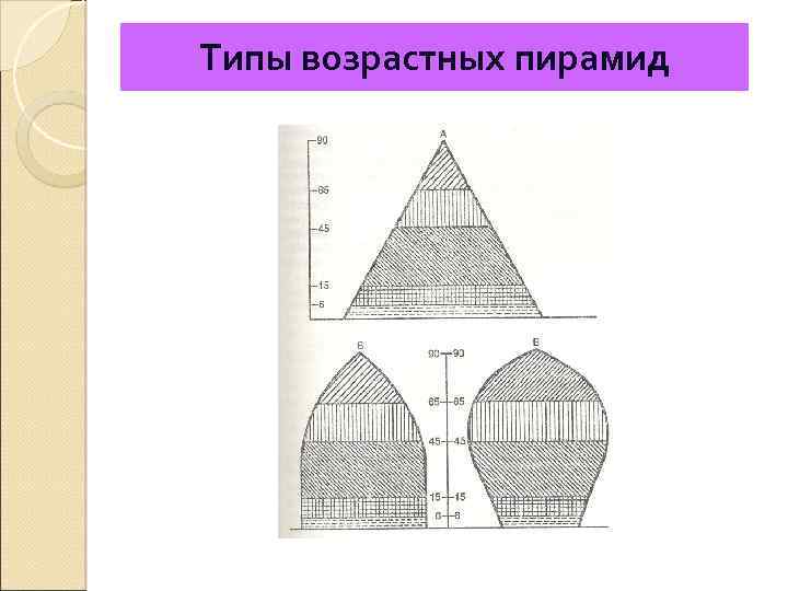 Возраст пирамид. Типы возрастных пирамид. Стационарный Тип половозрастной пирамиды. Стационарный Тип возрастной структуры. 3 Типа половозрастной пирамиды.