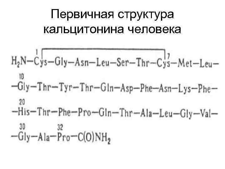Первичная структура кальцитонина человека 