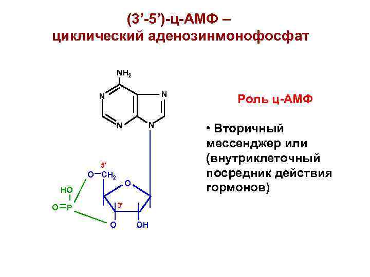 Схема превращения n 3 n 2 соответствует химическому уравнению 1 nh3 hcl