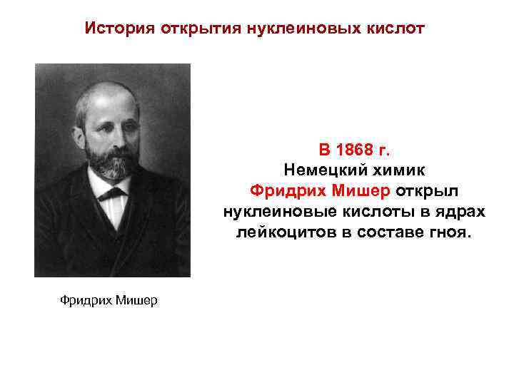 История открытия нуклеиновых кислот В 1868 г. Немецкий химик Фридрих Мишер открыл нуклеиновые кислоты