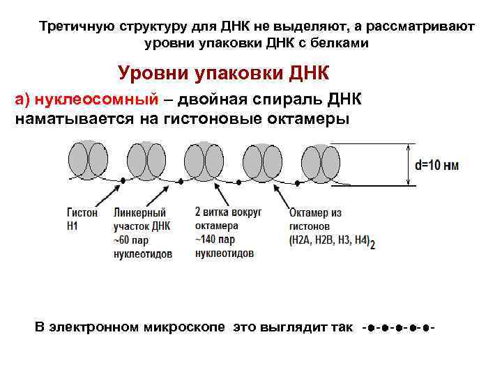 Третичную структуру для ДНК не выделяют, а рассматривают уровни упаковки ДНК с белками Уровни
