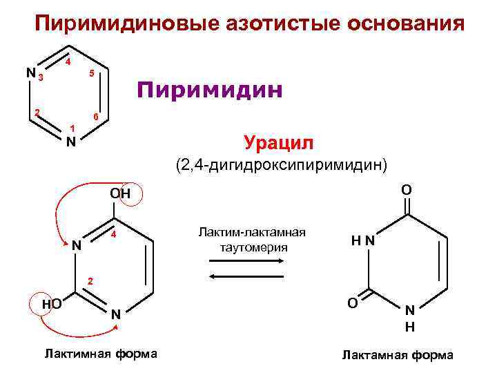 Строение пиримидина