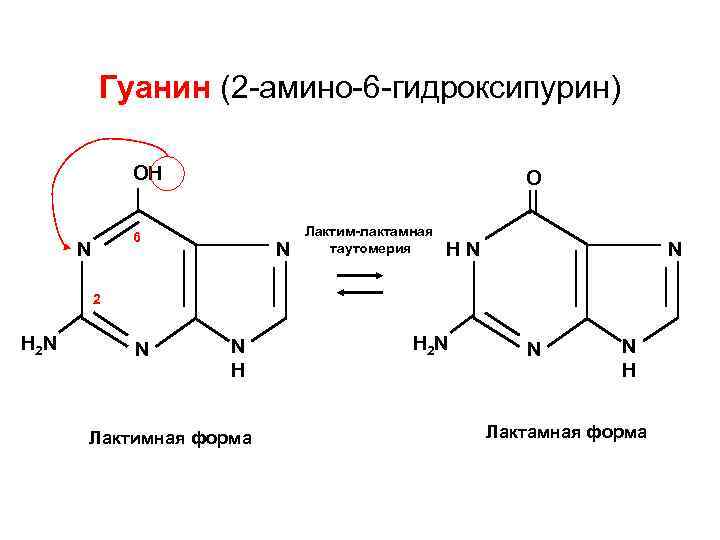 Схема получения нуклеотидов гуанина