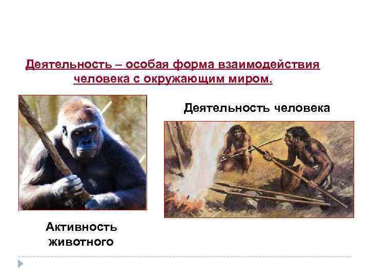 Деятельность – особая форма взаимодействия человека с окружающим миром. Деятельность человека Активность животного 